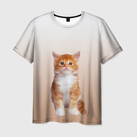 Мужская футболка 3D с принтом бело-рыжий котенок реализм в Новосибирске, 100% полиэфир | прямой крой, круглый вырез горловины, длина до линии бедер | cat | kitten | бело рыжий | градиент | кот | котейка | котенок | котеночек | котик | котофей | котэ | кошка | малыш | милаш | мяу | нэко | реализм | рыже белый