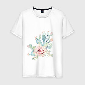 Мужская футболка хлопок с принтом цветущий кактус акварель в Новосибирске, 100% хлопок | прямой крой, круглый вырез горловины, длина до линии бедер, слегка спущенное плечо. | Тематика изображения на принте: акварель | акварельный | весна | кактус | мило | природа | растение | рисунок | суккулент | цветение | цветок | цветущий