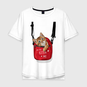 Мужская футболка хлопок Oversize с принтом Are you kitten(kidding) me? в Новосибирске, 100% хлопок | свободный крой, круглый ворот, “спинка” длиннее передней части | Тематика изображения на принте: кот | котик | милый | рюкзак | слова | фраза | хипстер