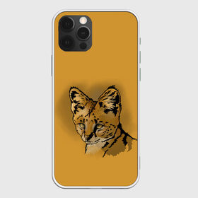 Чехол для iPhone 12 Pro Max с принтом Сервал в Новосибирске, Силикон |  | африка | графика | дикий мир | животное | кошка | персонаж | природа | рисунок | хищник