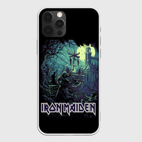 Чехол для iPhone 12 Pro Max с принтом IRON MAIDEN в Новосибирске, Силикон |  | Тематика изображения на принте: black | dark | death | fantasy | hardcore | heavy metal | iron maiden | metal | music | rock | skuul | usa | метал | музыка | рок | скелет | фентези | череп | черный