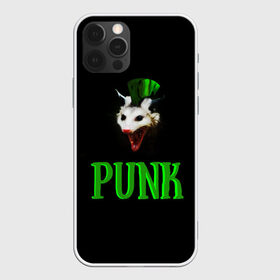 Чехол для iPhone 12 Pro Max с принтом punky trashcat в Новосибирске, Силикон |  | punk. | trashcat | животные | ирокез | опоссум | панк