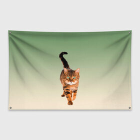 Флаг-баннер с принтом короткошерстный кот идет в Новосибирске, 100% полиэстер | размер 67 х 109 см, плотность ткани — 95 г/м2; по краям флага есть четыре люверса для крепления | cat | kitten | большой | градиент | зеленые глаза | идет | камышовый | короткошерстный | кот | котейка | котик | кошка | любопытный | мяу | полоски | породистый | реалистичный | рыжий | фото