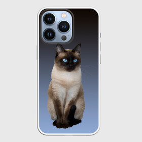 Чехол для iPhone 13 Pro с принтом сиамская милая кошечка в Новосибирске,  |  | Тематика изображения на принте: cat | kitten | голубые глаза | градиент | кот | котейка | котик | кошечка | кошка | милая | мяу | сиамская | сиамский
