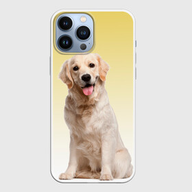 Чехол для iPhone 13 Pro Max с принтом Лабрадор ретривер пес в Новосибирске,  |  | домашние любимцы | друг | животные | золотистый ретривер | лабрадор | пес | питомец | породистый | собака