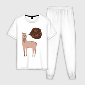 Мужская пижама хлопок с принтом Лама с вопросом Как сама? в Новосибирске, 100% хлопок | брюки и футболка прямого кроя, без карманов, на брюках мягкая резинка на поясе и по низу штанин
 | Тематика изображения на принте: альпака | животное | лама