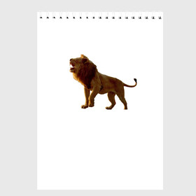 Скетчбук с принтом Король  Лев в Новосибирске, 100% бумага
 | 48 листов, плотность листов — 100 г/м2, плотность картонной обложки — 250 г/м2. Листы скреплены сверху удобной пружинной спиралью | disney | king | lion | дисней | лев