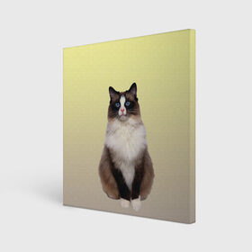 Холст квадратный с принтом персидская пушистая кошка в Новосибирске, 100% ПВХ |  | ветеринар | градиент | домашний питомец | котейка | котик | коты | котэ | кошатник | кошатница | кошачьи | кошки | любитель животных | мяу | нэко | персидская | сиамская | смесь | шаблон