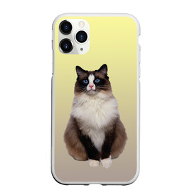 Чехол для iPhone 11 Pro матовый с принтом персидская пушистая кошка в Новосибирске, Силикон |  | ветеринар | градиент | домашний питомец | котейка | котик | коты | котэ | кошатник | кошатница | кошачьи | кошки | любитель животных | мяу | нэко | персидская | сиамская | смесь | шаблон