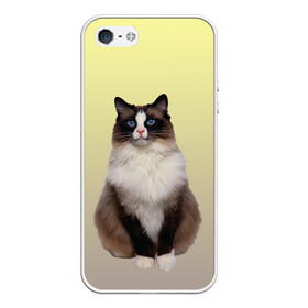 Чехол для iPhone 5/5S матовый с принтом персидская пушистая кошка в Новосибирске, Силикон | Область печати: задняя сторона чехла, без боковых панелей | ветеринар | градиент | домашний питомец | котейка | котик | коты | котэ | кошатник | кошатница | кошачьи | кошки | любитель животных | мяу | нэко | персидская | сиамская | смесь | шаблон