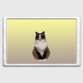 Магнит 45*70 с принтом персидская пушистая кошка в Новосибирске, Пластик | Размер: 78*52 мм; Размер печати: 70*45 | ветеринар | градиент | домашний питомец | котейка | котик | коты | котэ | кошатник | кошатница | кошачьи | кошки | любитель животных | мяу | нэко | персидская | сиамская | смесь | шаблон