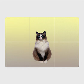 Магнитный плакат 3Х2 с принтом персидская пушистая кошка в Новосибирске, Полимерный материал с магнитным слоем | 6 деталей размером 9*9 см | ветеринар | градиент | домашний питомец | котейка | котик | коты | котэ | кошатник | кошатница | кошачьи | кошки | любитель животных | мяу | нэко | персидская | сиамская | смесь | шаблон