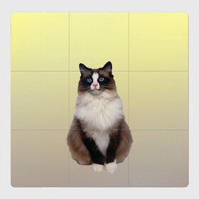 Магнитный плакат 3Х3 с принтом персидская пушистая кошка в Новосибирске, Полимерный материал с магнитным слоем | 9 деталей размером 9*9 см | ветеринар | градиент | домашний питомец | котейка | котик | коты | котэ | кошатник | кошатница | кошачьи | кошки | любитель животных | мяу | нэко | персидская | сиамская | смесь | шаблон