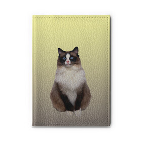 Обложка для автодокументов с принтом персидская пушистая кошка в Новосибирске, натуральная кожа |  размер 19,9*13 см; внутри 4 больших “конверта” для документов и один маленький отдел — туда идеально встанут права | Тематика изображения на принте: ветеринар | градиент | домашний питомец | котейка | котик | коты | котэ | кошатник | кошатница | кошачьи | кошки | любитель животных | мяу | нэко | персидская | сиамская | смесь | шаблон