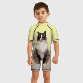 Детский купальный костюм 3D с принтом персидская пушистая кошка в Новосибирске, Полиэстер 85%, Спандекс 15% | застежка на молнии на спине | ветеринар | градиент | домашний питомец | котейка | котик | коты | котэ | кошатник | кошатница | кошачьи | кошки | любитель животных | мяу | нэко | персидская | сиамская | смесь | шаблон