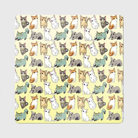 Магнит виниловый Квадрат с принтом мультяшные котики на желтом мя в Новосибирске, полимерный материал с магнитным слоем | размер 9*9 см, закругленные углы | Тематика изображения на принте: ветеринар | градиент | домашний питомец | котейки | котики | коты | котэ | котята | кошатник | кошатница | кошачьи | кошки | любитель животных | много | мультяшные | мяу | нэко | рисованный | узор