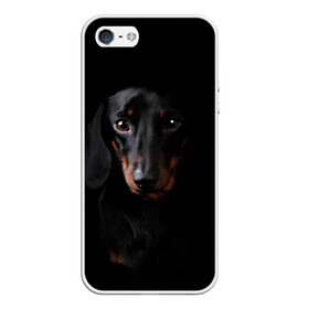 Чехол для iPhone 5/5S матовый с принтом ТАКСА в Новосибирске, Силикон | Область печати: задняя сторона чехла, без боковых панелей | animal | black | dog | photo | глаза | домашние | животные | звери | пес | собакен | собаки | такса | черный