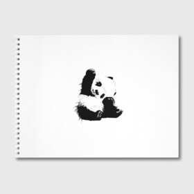 Альбом для рисования с принтом Панда минимализм в Новосибирске, 100% бумага
 | матовая бумага, плотность 200 мг. | Тематика изображения на принте: animal | bear | beast | black | minimalism | panda | white | белое | животное | зверь | краски | медведь | минимализм | панда | чернила | черно белое | черное