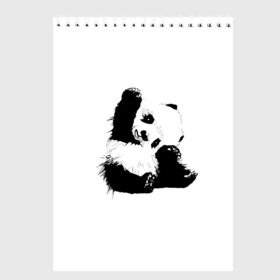 Скетчбук с принтом Панда минимализм в Новосибирске, 100% бумага
 | 48 листов, плотность листов — 100 г/м2, плотность картонной обложки — 250 г/м2. Листы скреплены сверху удобной пружинной спиралью | Тематика изображения на принте: animal | bear | beast | black | minimalism | panda | white | белое | животное | зверь | краски | медведь | минимализм | панда | чернила | черно белое | черное