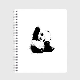 Тетрадь с принтом Панда минимализм в Новосибирске, 100% бумага | 48 листов, плотность листов — 60 г/м2, плотность картонной обложки — 250 г/м2. Листы скреплены сбоку удобной пружинной спиралью. Уголки страниц и обложки скругленные. Цвет линий — светло-серый
 | Тематика изображения на принте: animal | bear | beast | black | minimalism | panda | white | белое | животное | зверь | краски | медведь | минимализм | панда | чернила | черно белое | черное
