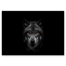 Поздравительная открытка с принтом Evil Wolf в Новосибирске, 100% бумага | плотность бумаги 280 г/м2, матовая, на обратной стороне линовка и место для марки
 | animal | beast | dark | darkness | evil | moon | nigth | tegunvteg | werwolf | wild | wolf | вервольф | вой | волк | волки | волчара | дикий | животное | зверь | клык | клыки | луна | ночь | оборотень | полнолуние