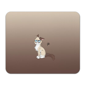 Коврик для мышки прямоугольный с принтом сварливый кот мем нет в Новосибирске, натуральный каучук | размер 230 х 185 мм; запечатка лицевой стороны | Тематика изображения на принте: злой кошак | кот | котик | мем | мемас | недовольный кот | нет | отказ | побитый жизнью | сварливый кот