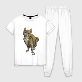 Женская пижама хлопок с принтом Уличный котик рисунок в Новосибирске, 100% хлопок | брюки и футболка прямого кроя, без карманов, на брюках мягкая резинка на поясе и по низу штанин | арт | бандит | вектор | градиент | кот | котенок | котик | котэ | мультяшный | мяу | полоски | рисунок | рыжий | серый | уличный | хитрюга