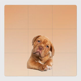 Магнитный плакат 3Х3 с принтом питбуль в Новосибирске, Полимерный материал с магнитным слоем | 9 деталей размером 9*9 см | ветеринару | гав | животные домашние | любителю собак | млекопитающее | мопс | мультипликационный персонаж | мультяшная собака | песики | питбуль | питомцы | псы | собакены | собаки | собачки