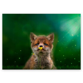 Поздравительная открытка с принтом Лисенок нюхает цветок в Новосибирске, 100% бумага | плотность бумаги 280 г/м2, матовая, на обратной стороне линовка и место для марки
 | fox | foxy | животное | звери | лиса | лисенок | лисичка | милая | рыжая | фокс