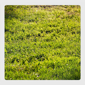 Магнитный плакат 3Х3 с принтом Трава под солнцем в Новосибирске, Полимерный материал с магнитным слоем | 9 деталей размером 9*9 см | green day | nature | spring | summer | sun | весна | день | зелень | лес | лето | парк | поле | поляна | природа | природа россии | растения | русская природа | сад | салатовый | солнце | солнышко | сочный | текстура | тр