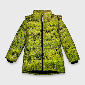 Зимняя куртка для девочек 3D с принтом Трава под солнцем в Новосибирске, ткань верха — 100% полиэстер; подклад — 100% полиэстер, утеплитель — 100% полиэстер. | длина ниже бедра, удлиненная спинка, воротник стойка и отстегивающийся капюшон. Есть боковые карманы с листочкой на кнопках, утяжки по низу изделия и внутренний карман на молнии. 

Предусмотрены светоотражающий принт на спинке, радужный светоотражающий элемент на пуллере молнии и на резинке для утяжки. | green day | nature | spring | summer | sun | весна | день | зелень | лес | лето | парк | поле | поляна | природа | природа россии | растения | русская природа | сад | салатовый | солнце | солнышко | сочный | текстура | тр
