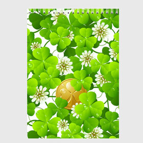 Скетчбук с принтом Ирландский Клевер и Монетка в Новосибирске, 100% бумага
 | 48 листов, плотность листов — 100 г/м2, плотность картонной обложки — 250 г/м2. Листы скреплены сверху удобной пружинной спиралью | день ирландии | зеленая | зеленый | ирландец | ирландская | ирландский | клевер | монета | патрик | с патриком