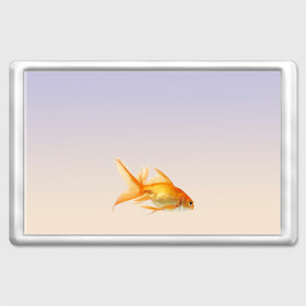 Магнит 45*70 с принтом золотая рыбка в Новосибирске, Пластик | Размер: 78*52 мм; Размер печати: 70*45 | Тематика изображения на принте: аквариум | градиент | золотая рыбка | подводный мир | рыба | рыбешка | рыбка