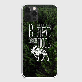 Чехол для iPhone 12 Pro Max с принтом В лес захотелось в Новосибирске, Силикон |  | Тематика изображения на принте: бег | болота | выезд с палатками | глушь | дикая природа | елки | еловый бор | кэмпинг | лес | лось | маршрут | ммб | сибирь | силуэт лося | тайга | тотем | трекинг | туризм | узоры