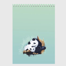 Скетчбук с принтом акварельные панды в Новосибирске, 100% бумага
 | 48 листов, плотность листов — 100 г/м2, плотность картонной обложки — 250 г/м2. Листы скреплены сверху удобной пружинной спиралью | акварель | двое | животные | звери | мило | мишки | обнимашки | панды | пара | природа | рисунок