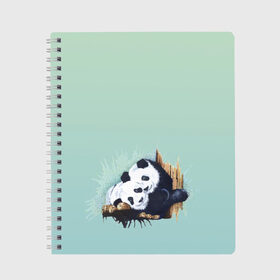 Тетрадь с принтом акварельные панды в Новосибирске, 100% бумага | 48 листов, плотность листов — 60 г/м2, плотность картонной обложки — 250 г/м2. Листы скреплены сбоку удобной пружинной спиралью. Уголки страниц и обложки скругленные. Цвет линий — светло-серый
 | акварель | двое | животные | звери | мило | мишки | обнимашки | панды | пара | природа | рисунок