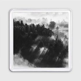Магнит 55*55 с принтом Туман в лесу в Новосибирске, Пластик | Размер: 65*65 мм; Размер печати: 55*55 мм | tegunvteg | деревья | лес | листья | природа | темный лес | туман