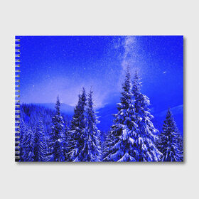 Альбом для рисования с принтом Зимний лес в Новосибирске, 100% бумага
 | матовая бумага, плотность 200 мг. | Тематика изображения на принте: tegunvteg | деревья | зима | зимний лес | лес | листья | мороз | природа | снег | темный лес