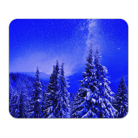 Коврик для мышки прямоугольный с принтом Зимний лес в Новосибирске, натуральный каучук | размер 230 х 185 мм; запечатка лицевой стороны | tegunvteg | деревья | зима | зимний лес | лес | листья | мороз | природа | снег | темный лес