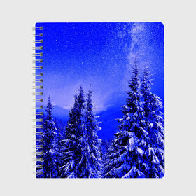 Тетрадь с принтом Зимний лес в Новосибирске, 100% бумага | 48 листов, плотность листов — 60 г/м2, плотность картонной обложки — 250 г/м2. Листы скреплены сбоку удобной пружинной спиралью. Уголки страниц и обложки скругленные. Цвет линий — светло-серый
 | Тематика изображения на принте: tegunvteg | деревья | зима | зимний лес | лес | листья | мороз | природа | снег | темный лес