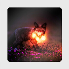 Магнит виниловый Квадрат с принтом Лисица с фонариками в Новосибирске, полимерный материал с магнитным слоем | размер 9*9 см, закругленные углы | fox | foxy | животное | звери | лиса | лисенок | лисичка | милая | рыжая | фокс