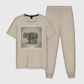 Мужская пижама хлопок с принтом Слоны в Новосибирске, 100% хлопок | брюки и футболка прямого кроя, без карманов, на брюках мягкая резинка на поясе и по низу штанин
 | Тематика изображения на принте: иллюстрация | рисунок | серый | слон | слоненок