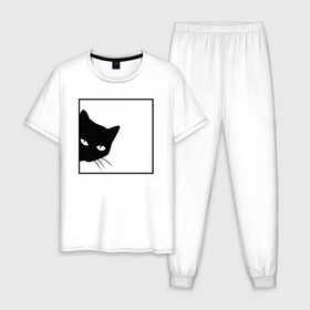 Мужская пижама хлопок с принтом BLACK CAT | ЧЕРНАЯ КОШКА в Новосибирске, 100% хлопок | брюки и футболка прямого кроя, без карманов, на брюках мягкая резинка на поясе и по низу штанин
 | black | cat | cats | creative | hunter | minimalism | night | кот | коте | котенок | котэ | кошка | креатив | креативная | минимализм | надпись | ночь | охотник | текст | черная | черный