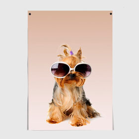 Постер с принтом собака в очках в Новосибирске, 100% бумага
 | бумага, плотность 150 мг. Матовая, но за счет высокого коэффициента гладкости имеет небольшой блеск и дает на свету блики, но в отличии от глянцевой бумаги не покрыта лаком | лето | маленткая | мода | отдых | очки | собака | солнечные очки | солнцезащитные очки | хвостик