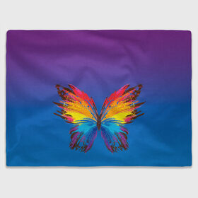 Плед 3D с принтом красочная бабочка в Новосибирске, 100% полиэстер | закругленные углы, все края обработаны. Ткань не мнется и не растягивается | абстрактное искусство | бабочка | беспозвоночные | брызги | градиент | краска | красочная | крылья | лето | мотыльки и бабочки | насекомое | радуга | ярко