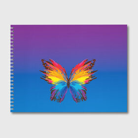 Альбом для рисования с принтом красочная бабочка в Новосибирске, 100% бумага
 | матовая бумага, плотность 200 мг. | Тематика изображения на принте: абстрактное искусство | бабочка | беспозвоночные | брызги | градиент | краска | красочная | крылья | лето | мотыльки и бабочки | насекомое | радуга | ярко