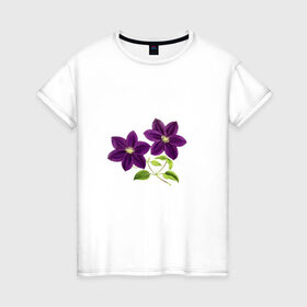 Женская футболка хлопок с принтом Два цветка в Новосибирске, 100% хлопок | прямой крой, круглый вырез горловины, длина до линии бедер, слегка спущенное плечо | иллюстрации | картинки | лето | листья | популярные | прикольные | природа | тренд | цветы