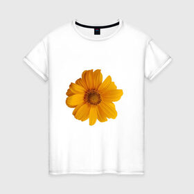 Женская футболка хлопок с принтом Подсолнух в Новосибирске, 100% хлопок | прямой крой, круглый вырез горловины, длина до линии бедер, слегка спущенное плечо | иллюстрации | картинки | лето | подсолнух | популярные | прикольные | природа | тренд | цветы
