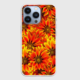 Чехол для iPhone 13 Pro с принтом ЦВЕТОЧНЫЙ ОРНАМЕНТ в Новосибирске,  |  | flower | orange | pattern | девушкам | лепестки | оранжевый | орнамент | растения | текстуры | цветы