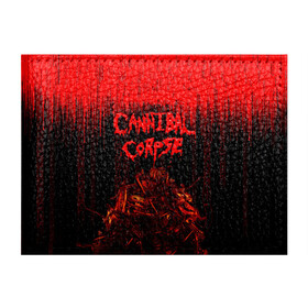 Обложка для студенческого билета с принтом CANNIBAL CORPSE в Новосибирске, натуральная кожа | Размер: 11*8 см; Печать на всей внешней стороне | blood | cannibal corpse | death metal | grunge | hardcore | music | punk | rock | usa | группа | канибал | кровь | метал | музыка | рок | сша | труп